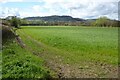 View to Oxenton Hill