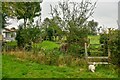 Oldbury-on-Severn : Grassy Field