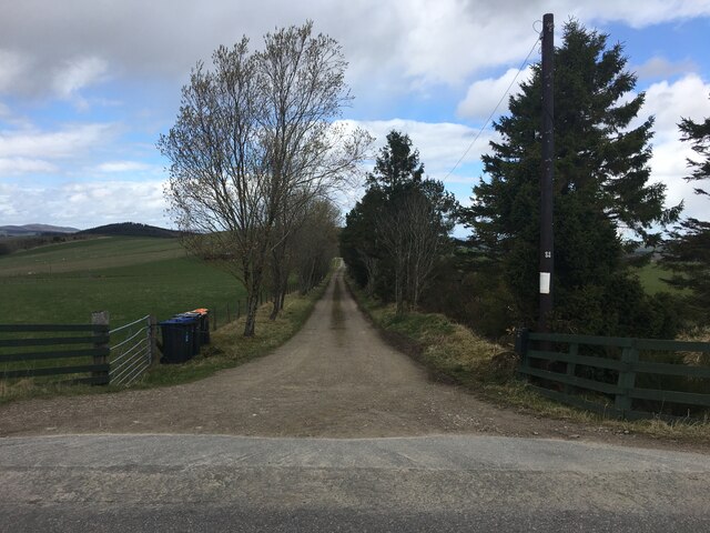 Farm road towards Whinbush Farm © Steven Brown :: Geograph Britain and ...