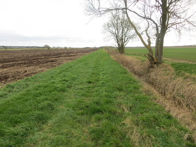 Farm track and drainage ditch separating arable land