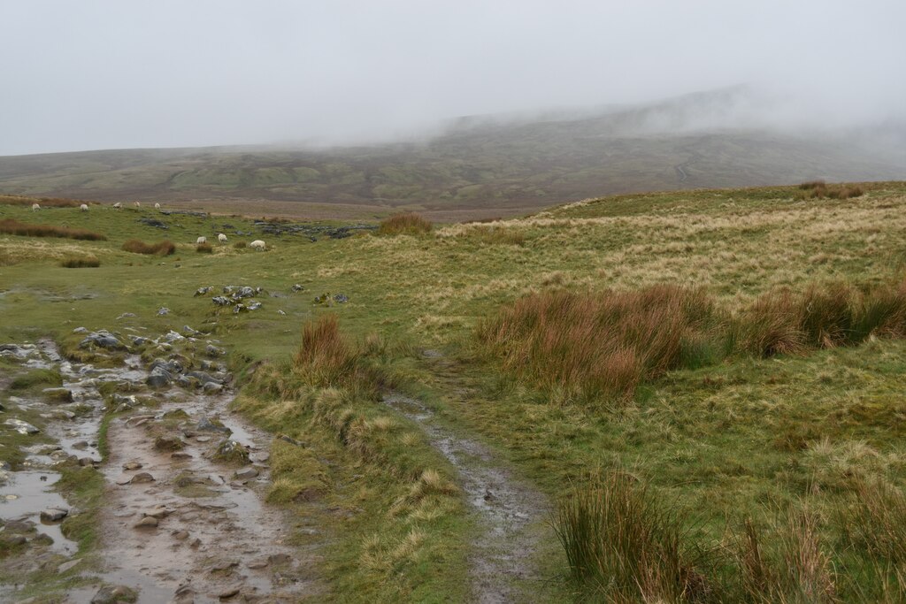 Path towards Ingleborough and Gaping... © David Martin :: Geograph ...