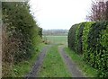 Footpath to Great Barrow