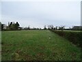 Grazing and hedgerow off Willington Road