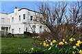 Southwold: 5, Centre Cliff