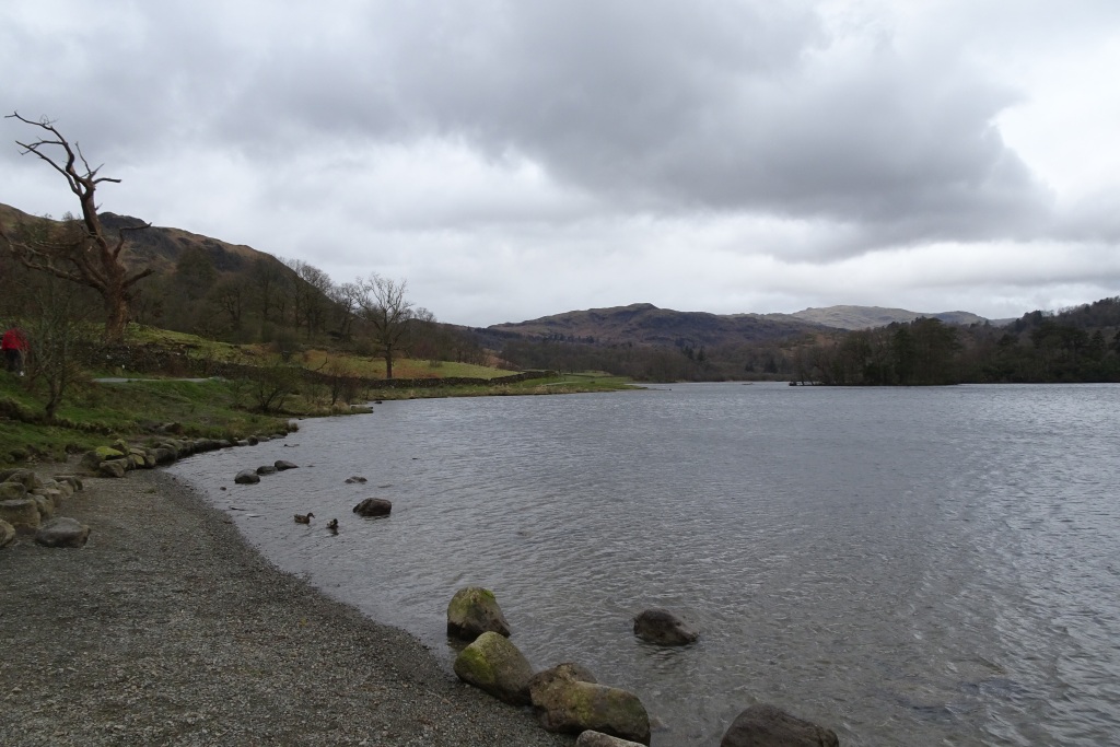 Southern Shore Of Rydal Water © Ds Pugh Cc-by-sa 2.0 :: Geograph 