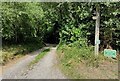 Shropshire Way towards Vineyards Farm