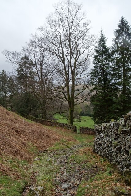 Path and stream descending beside the... © DS Pugh cc-by-sa/2.0 ...