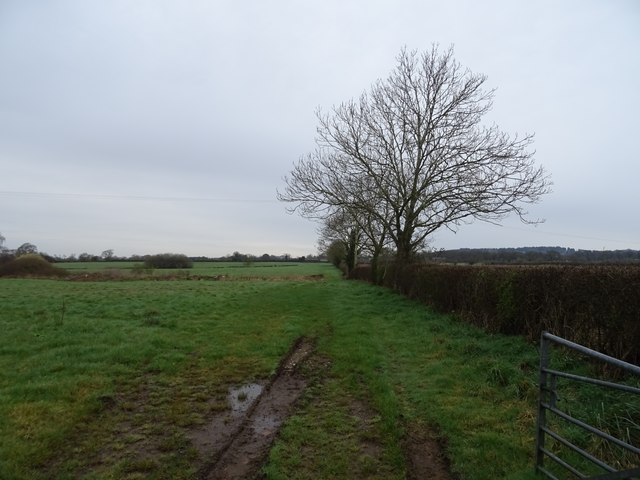 Field entrance off Willington Road © JThomas :: Geograph Britain and ...