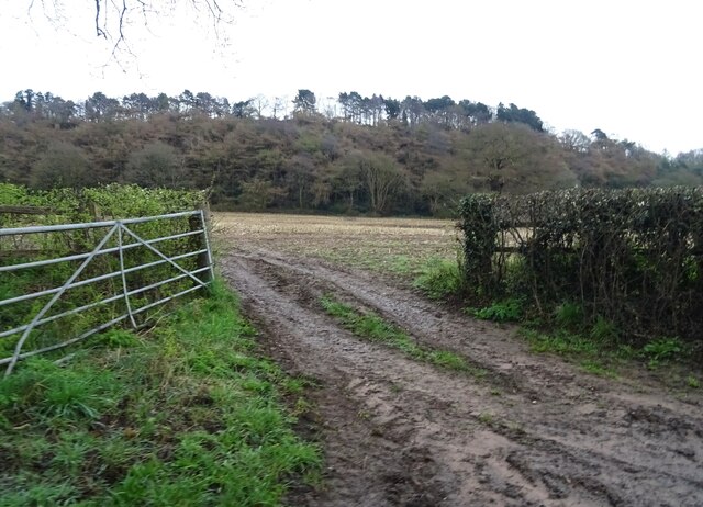 Field entrance off Willington Lane © JThomas :: Geograph Britain and ...