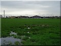 Grazing towards Ferney Lees