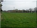 Grazing off Calveley Hall Lane