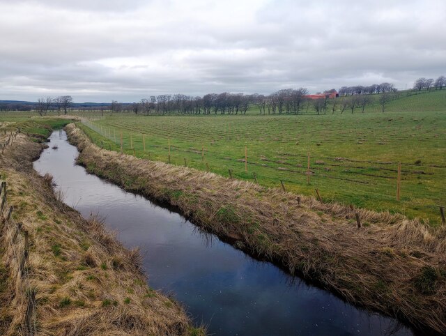 Tree planting beside Mouse Water © Jim Smillie :: Geograph Britain and ...