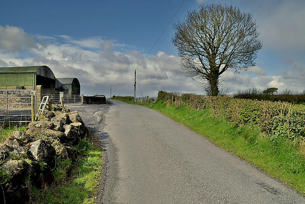 Bare tree along Claragh Road © Kenneth Allen :: Geograph Britain and ...