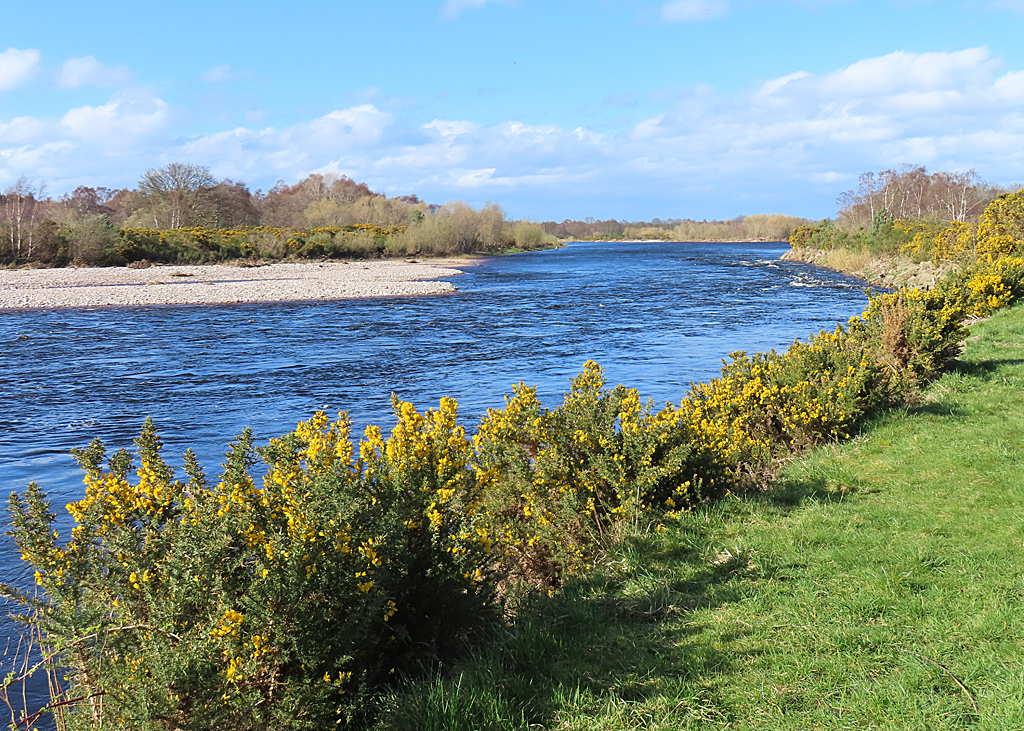 River Spey © Anne Burgess cc-by-sa/2.0 :: Geograph Britain and Ireland