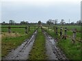 Gated track off Minshull Lane