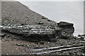 London Clay outcrop, Thames foreshore