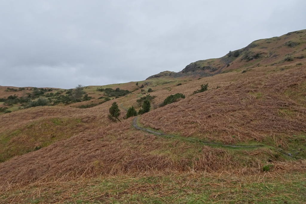 Path into Great Langdale © DS Pugh cc-by-sa/2.0 :: Geograph Britain and ...