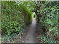 Shropshire Way path