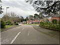 View into Rosedene Gardens