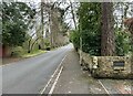 Looking up Avenue Road