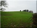 Hillside grazing off the B5074