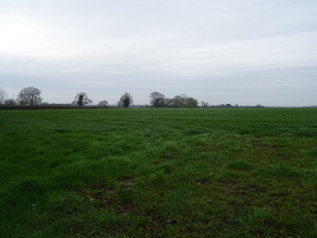 Grazing, Bostock Green © JThomas cc-by-sa/2.0 :: Geograph Britain and ...