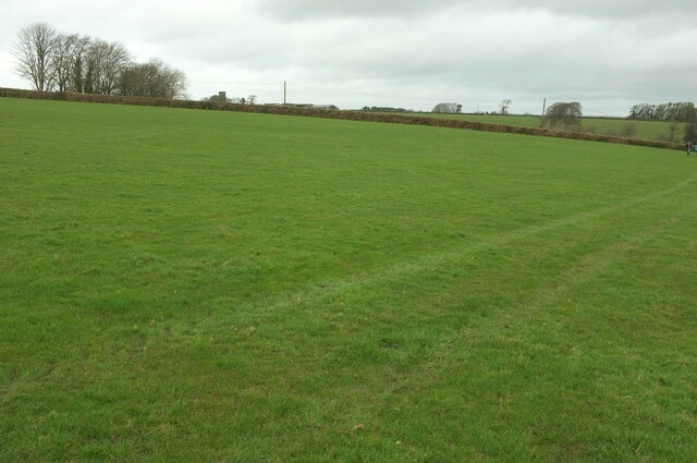 Field near Oakford © Derek Harper :: Geograph Britain and Ireland