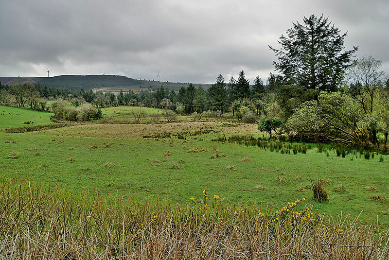 Curragh Glebe © Kenneth Allen cc-by-sa/2.0 :: Geograph Britain and Ireland