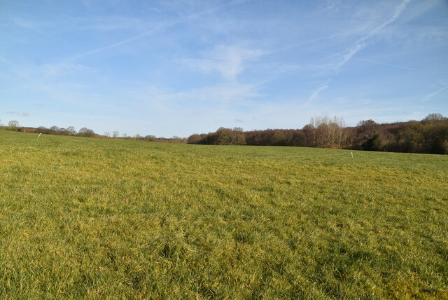 East Sussex pasture © N Chadwick :: Geograph Britain and Ireland