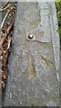 Ordnance Survey Rivet Benchmark