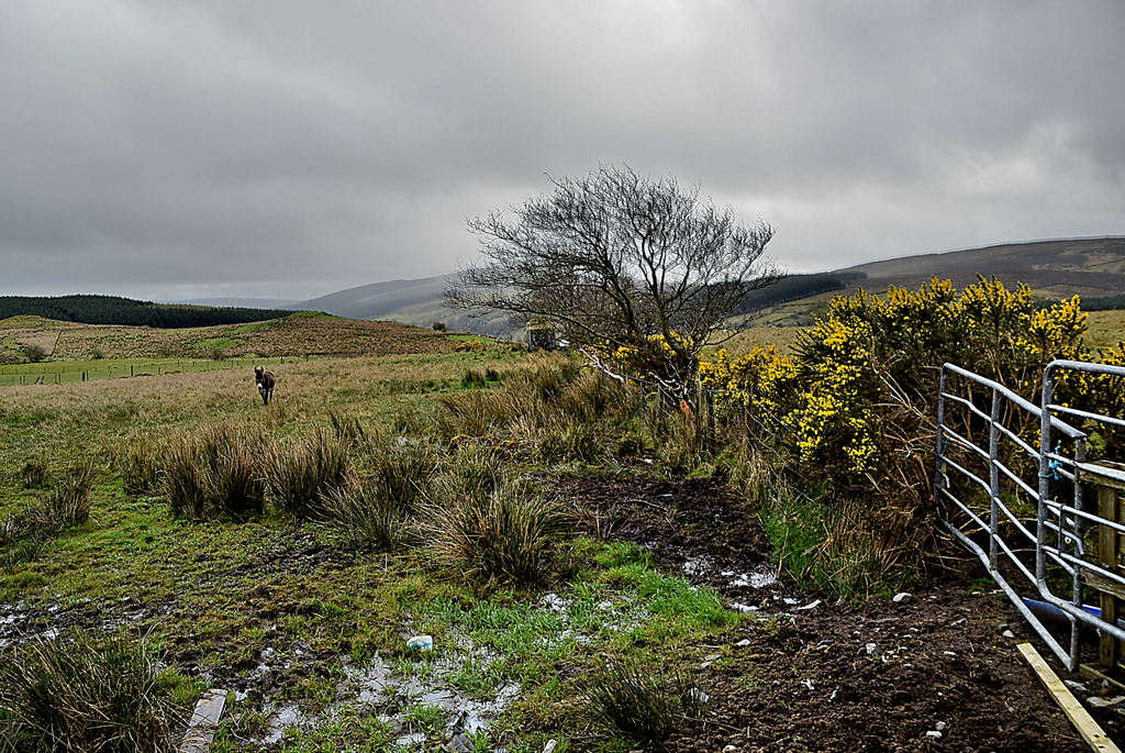 Carrick Townland © Kenneth Allen :: Geograph Ireland