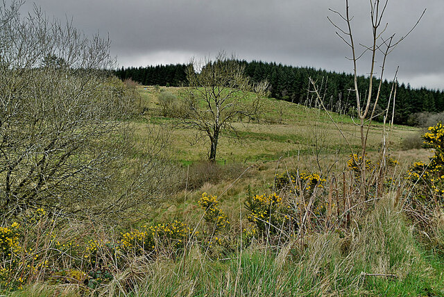 Carrick Townland © Kenneth Allen :: Geograph Ireland