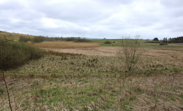 Cathkin Marsh Wildlife Reserve © Richard Sutcliffe :: Geograph Britain ...