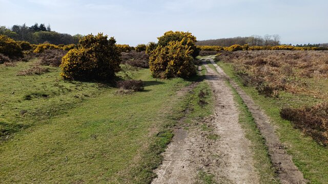 Path through the gorse bushes on... © David Martin cc-by-sa/2.0 ...