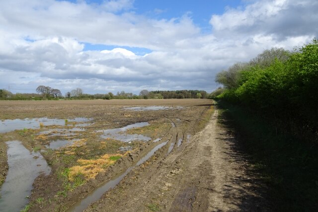 Bridleway beside the A64 © DS Pugh :: Geograph Britain and Ireland