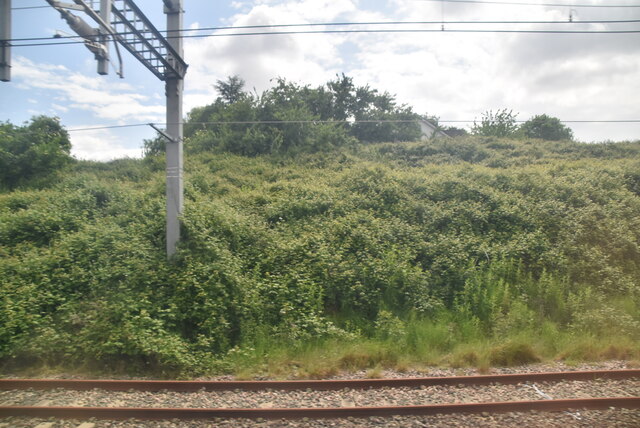 Railway cutting © N Chadwick :: Geograph Britain and Ireland