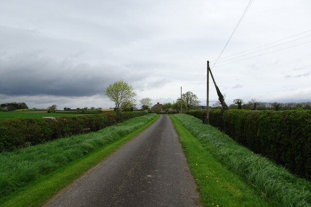 North along Steeton Lane © DS Pugh cc-by-sa/2.0 :: Geograph Britain and ...