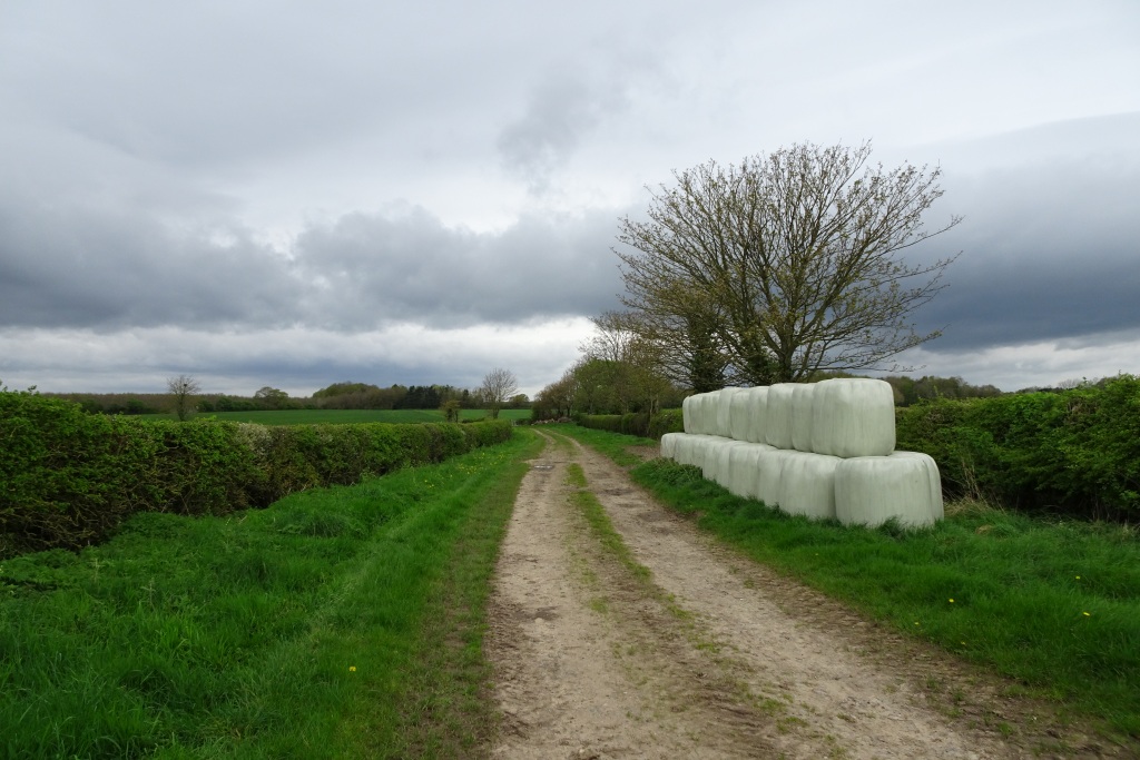 Bales near Steeton Hall Farm © DS Pugh :: Geograph Britain and Ireland