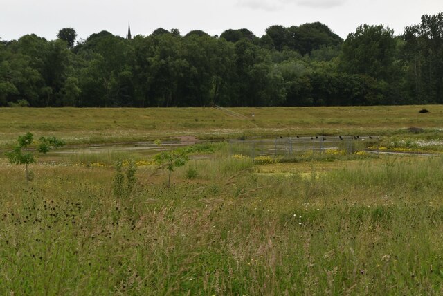 Kersal Wetlands © N Chadwick :: Geograph Britain and Ireland