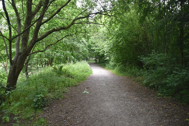 The Irwell Sculpture Trail © N Chadwick :: Geograph Britain and Ireland