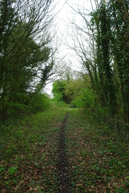 Bridleway south of Bowbridge Farm © DS Pugh cc-by-sa/2.0 :: Geograph ...