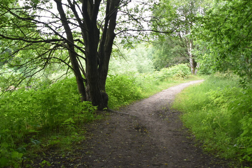 The Irwell Sculpture Trail © N Chadwick :: Geograph Britain and Ireland