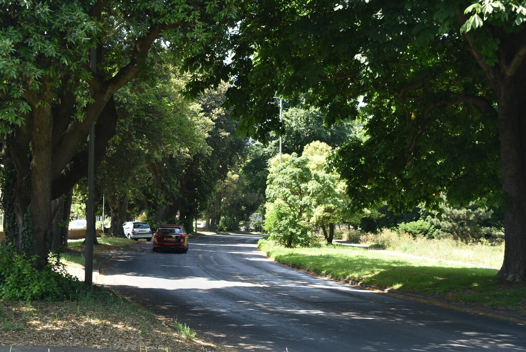 Northdown Park Rd © N Chadwick :: Geograph Britain and Ireland