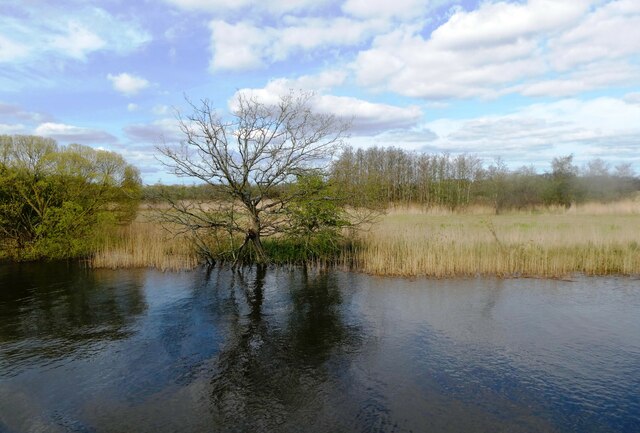 River Bank, Horning © Pam Fray Cc-by-sa 2.0 :: Geograph Britain And Ireland