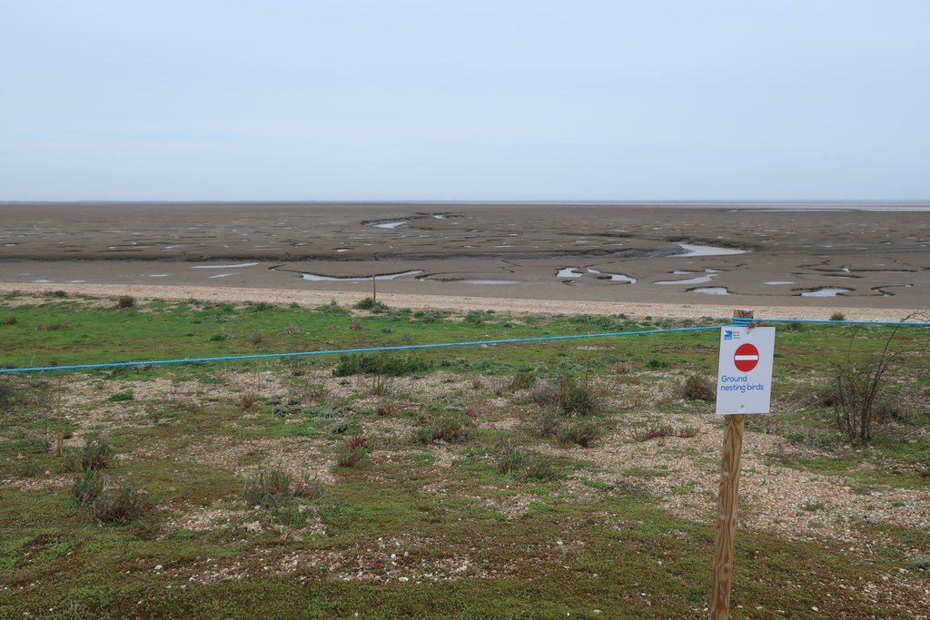 Beach at Snettisham RSPB reserve © Hugh Venables cc-by-sa/2.0 ...