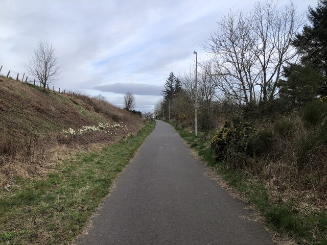 Footpath and cyclepath on the edge of... © David Robinson cc-by-sa/2.0 ...