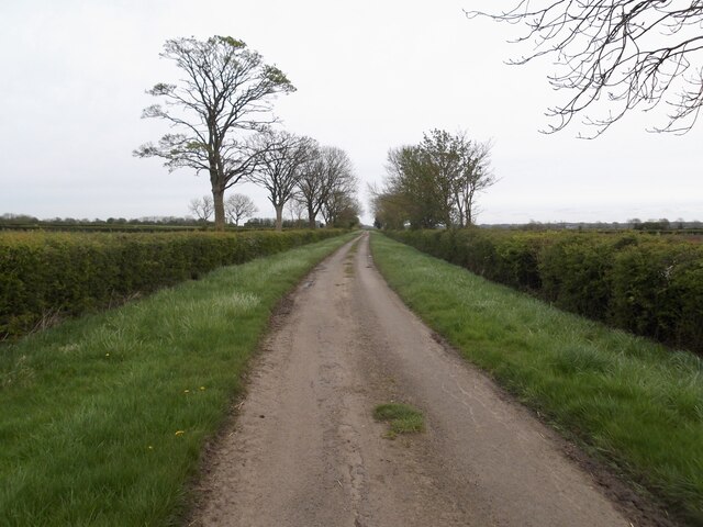 Green Lane Near Pilham © David Brown Cc-by-sa 2.0 :: Geograph Britain 