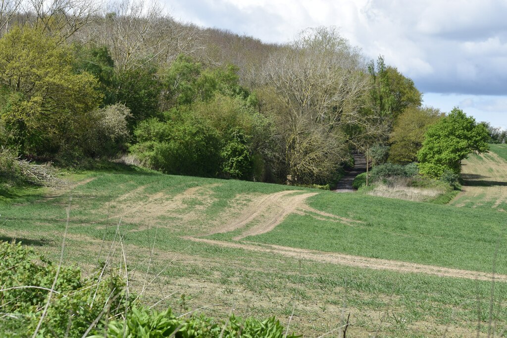 Field and woodland north of Shorne... © David Martin :: Geograph ...