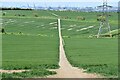 TQ6871 : Path across farmland northwest of Shorne by David Martin