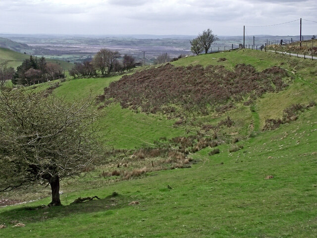 Hill pasture east of Ffair Rhos in... © Roger D Kidd :: Geograph ...